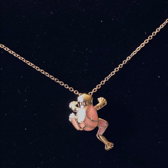 Silver Colored Frog Necklaces - Picture 2 of 8